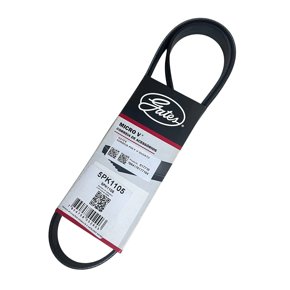 CORREIA POLY V DUCATO